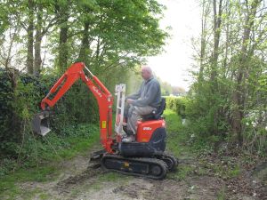 foto bobcat